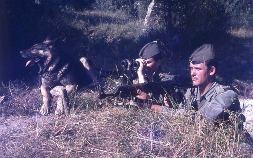 533585299 1338659510943648 5395941769897571248 n